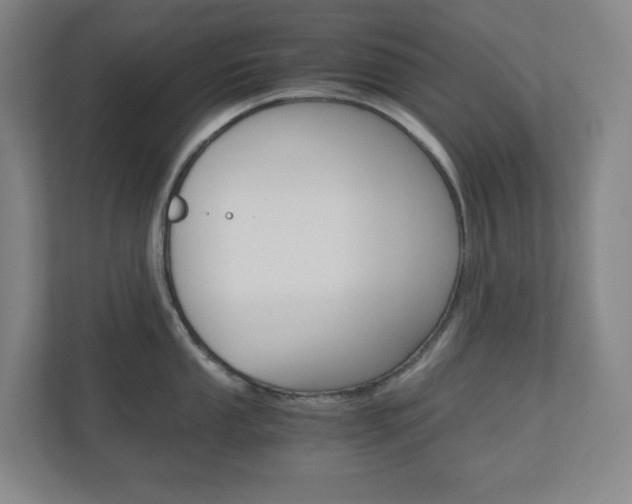 X0000110911053200906181002