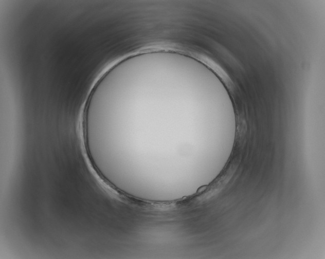 X0000110911055200906181002