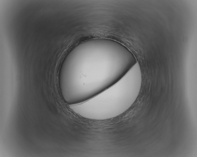 X0000110911057200906181002