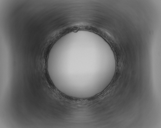 X0000110911062200906181001