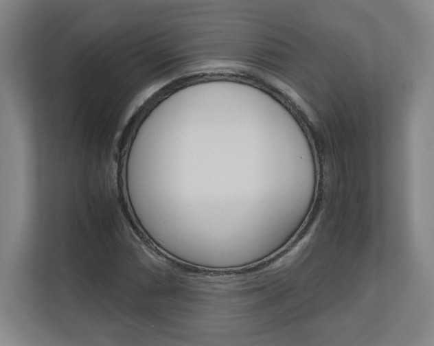 X0000110911066200906181001
