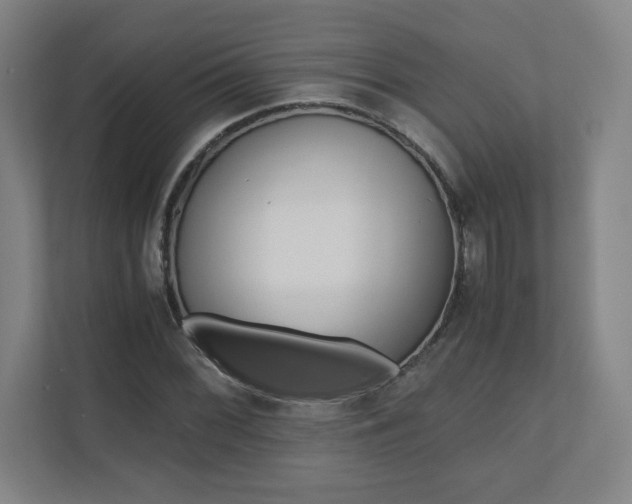 X0000110911068200906181001