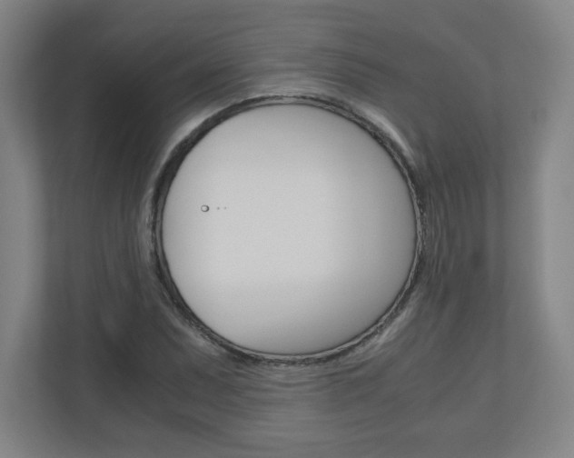 X0000110911071200906181001