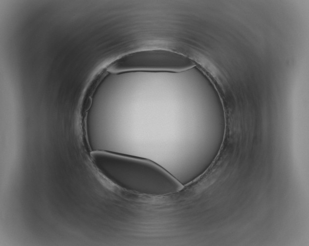 X0000110911072200906181001