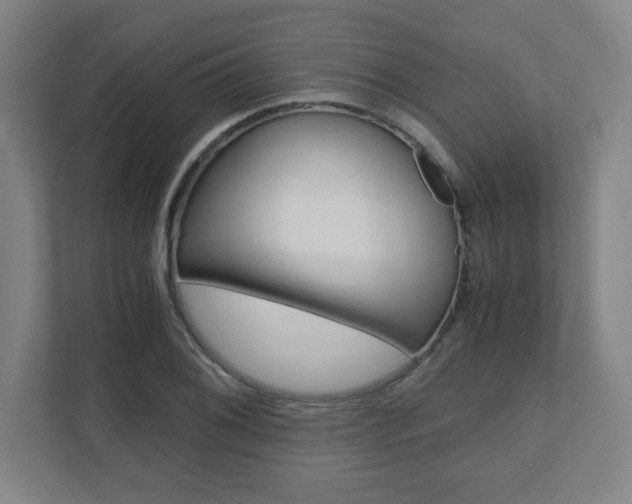 X0000110911076200906181001
