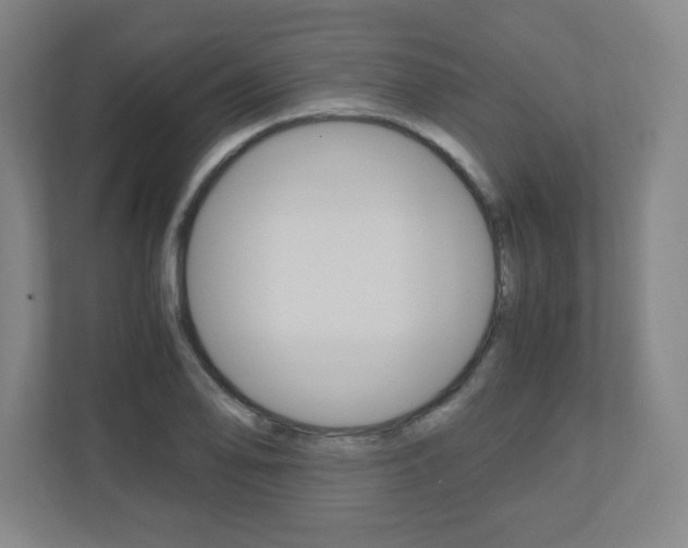 X0000110911078200906181001