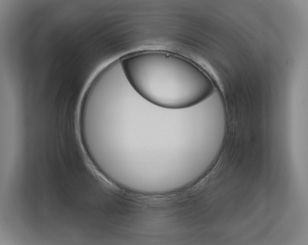 X0000110911080200906181001