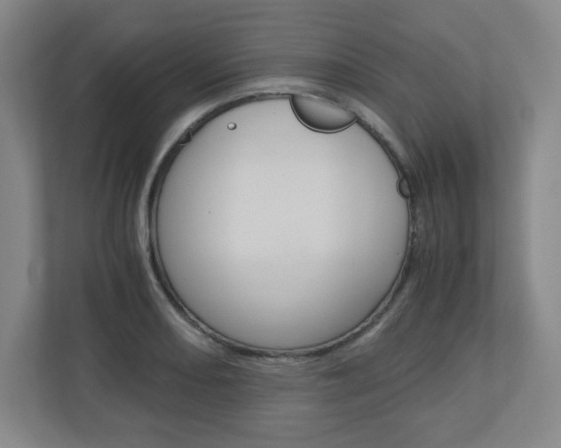 X0000110911082200906181001