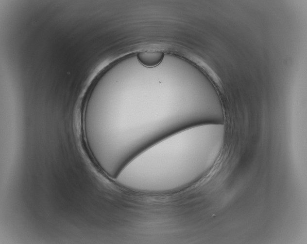 X0000110911083200906181001