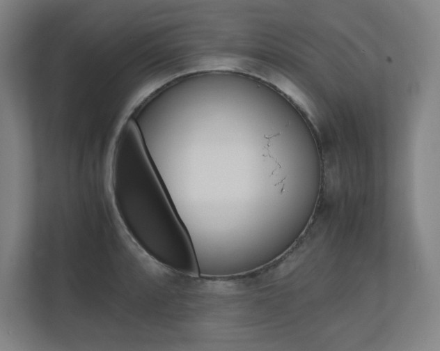 X0000110911088200906181001