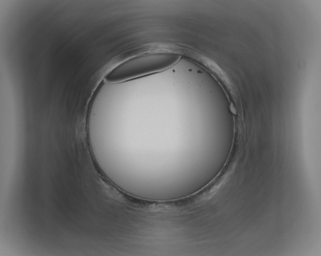 X0000110911089200906181001