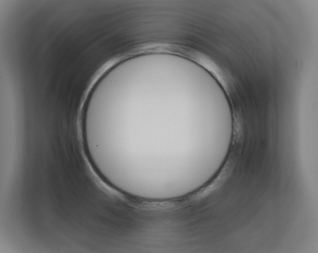 X0000110911090200906181001