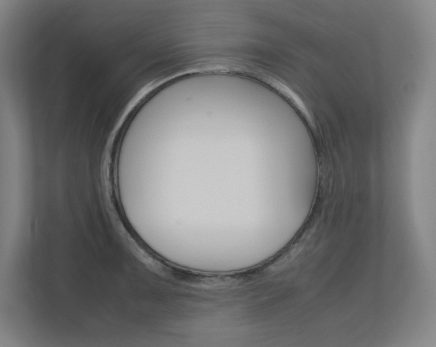 X0000110911091200906181001