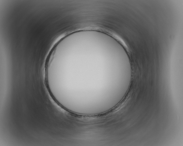 X0000110911095200906181001