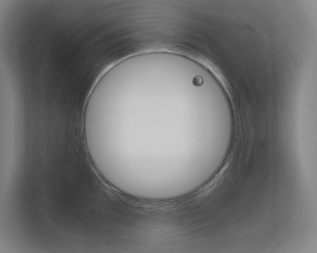 X0000110911097200906181001