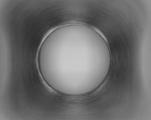 X0000110911098200906181001