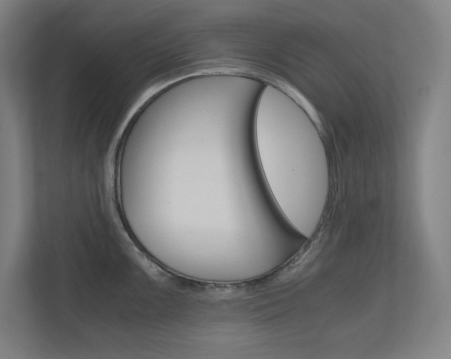X0000110911099200906181001