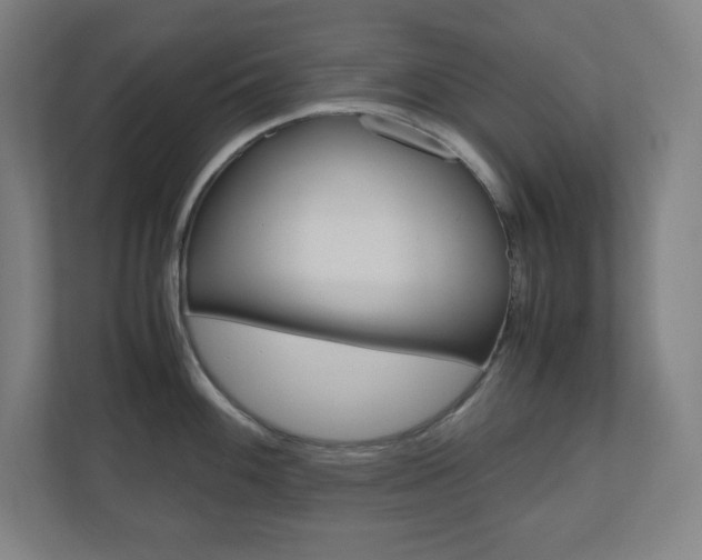 X0000110911100200906181001