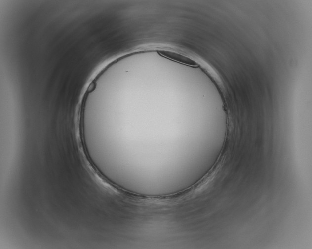 X0000110911102200906181001