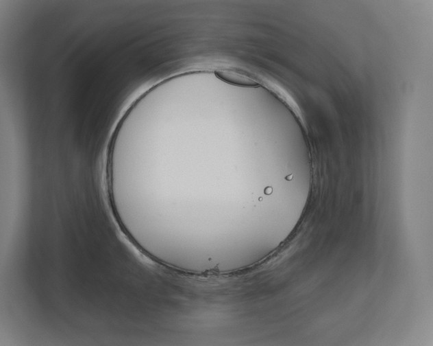 X0000110911103200906181001