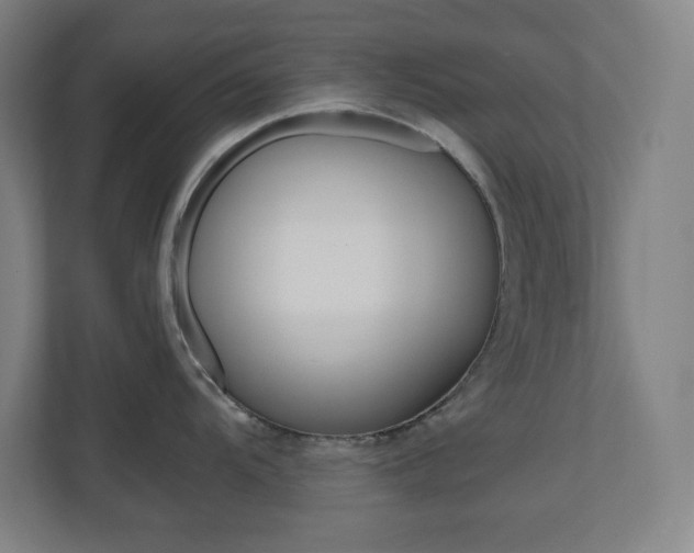 X0000110911104200906181001