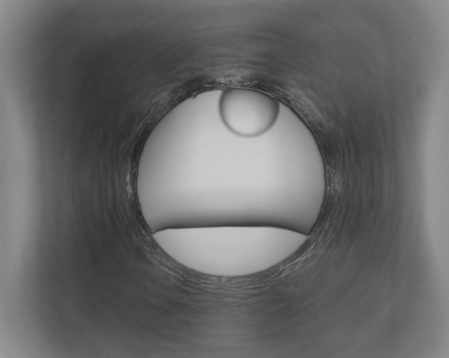 X0000110911106200906181000
