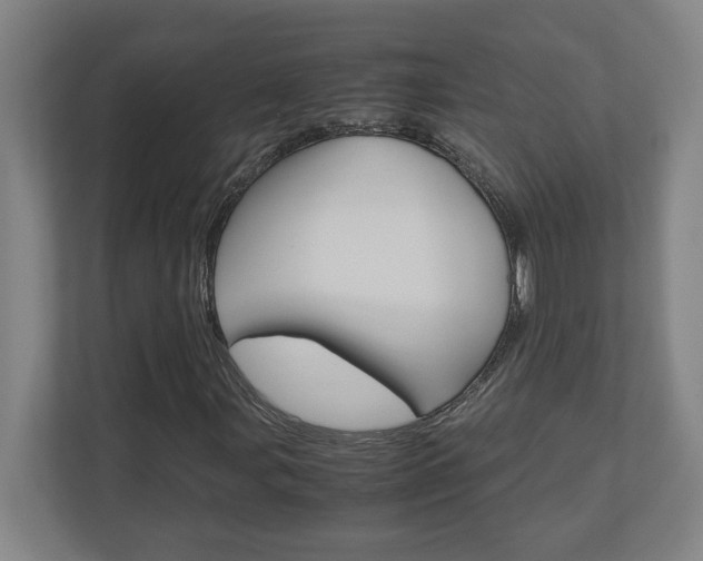 X0000110911107200906181000