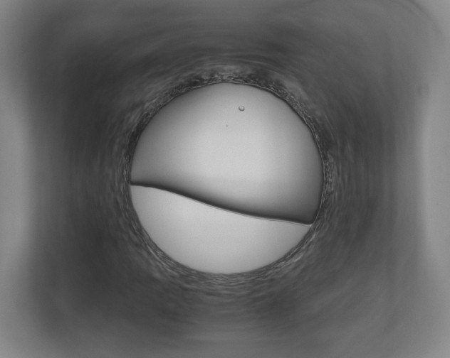 X0000110911109200906181000