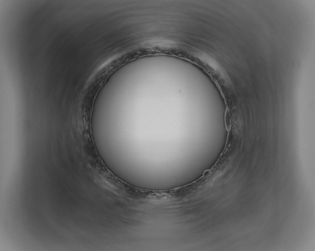 X0000110911112200906181000