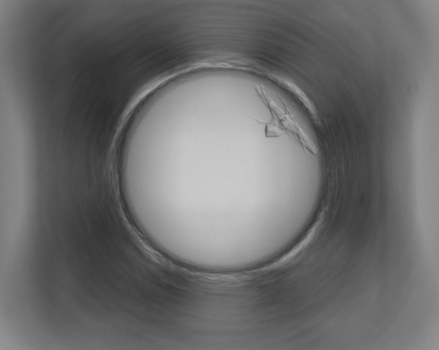 X0000110911114200906181000