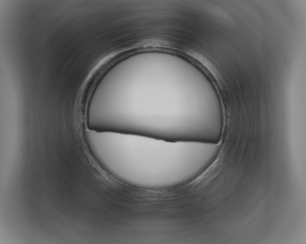 X0000110911115200906181000