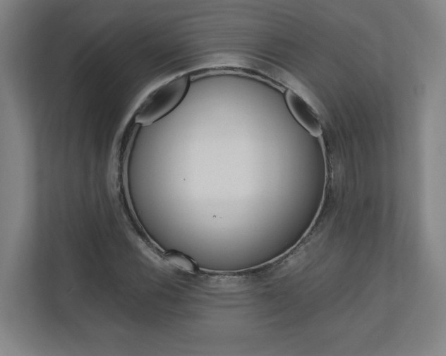 X0000110911116200906181000
