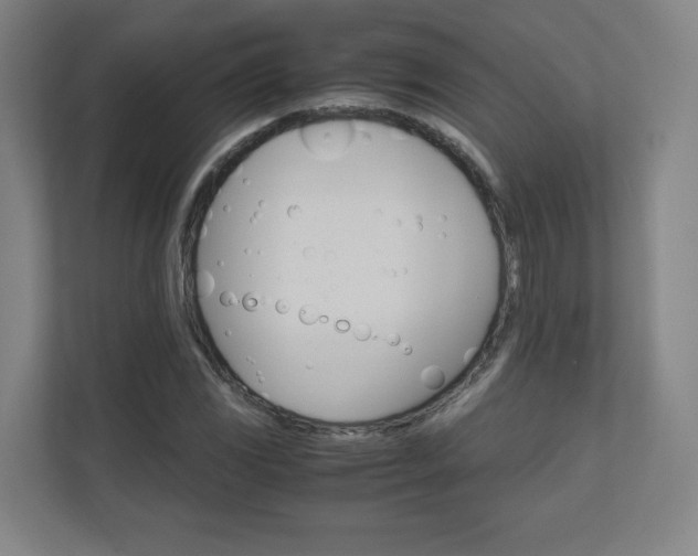 X0000110911117200906181000