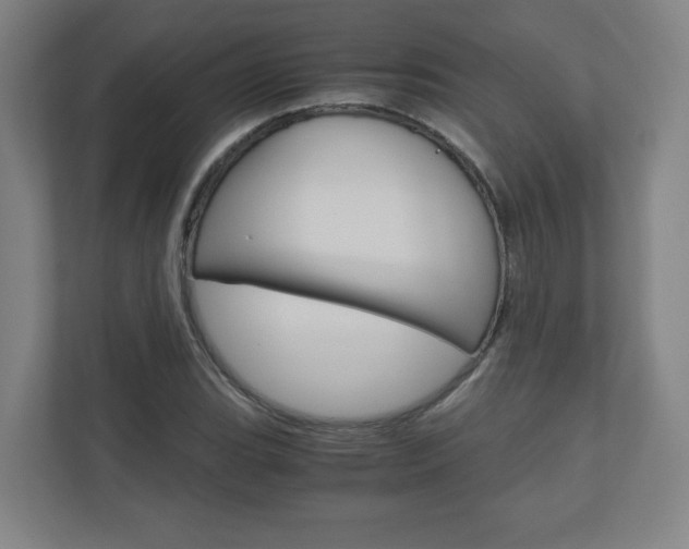 X0000110911119200906181000