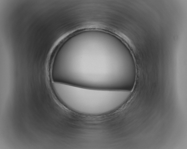 X0000110911120200906181000