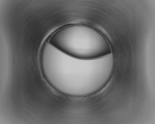 X0000110911122200906181000