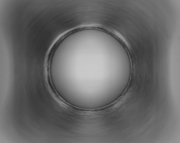 X0000110911124200906181001