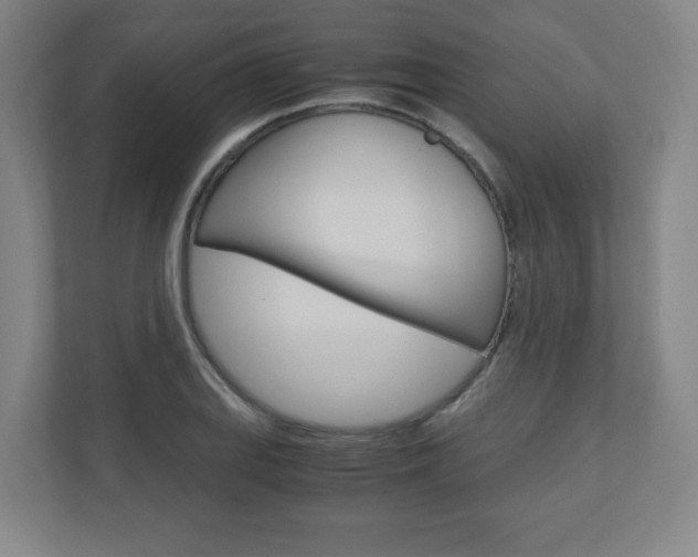 X0000110911127200906181001
