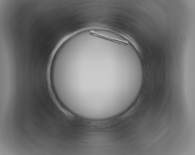 X0000110911128200906181001
