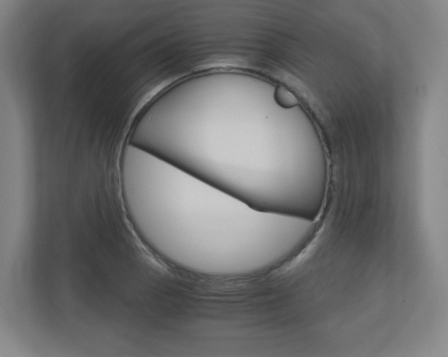 X0000110911129200906181001