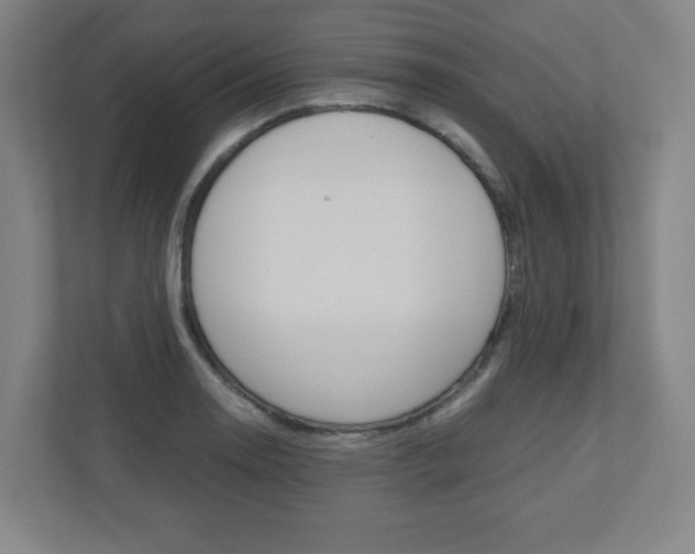X0000110911130200906181001
