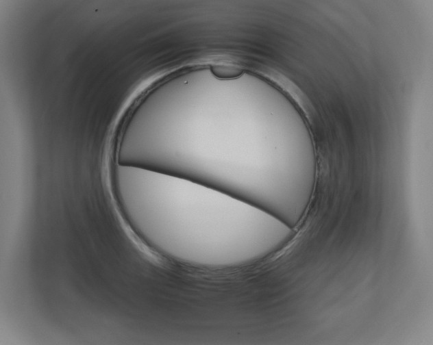 X0000110911131200906181001