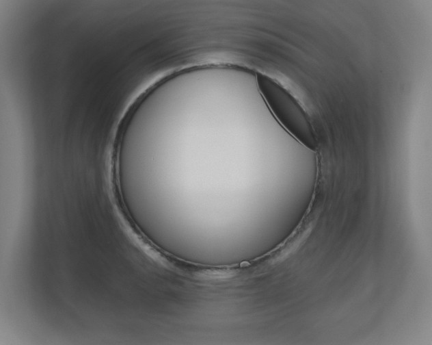 X0000110911134200906181001