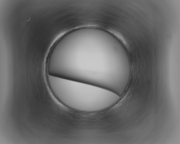 X0000110911135200906181001