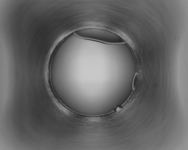 X0000110911136200906181001