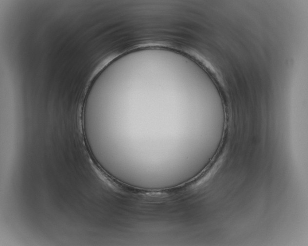 X0000110911137200906181001