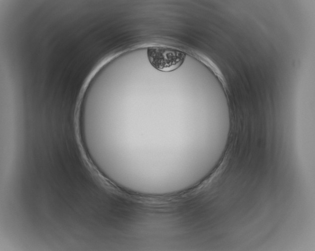 X0000110911138200906181001