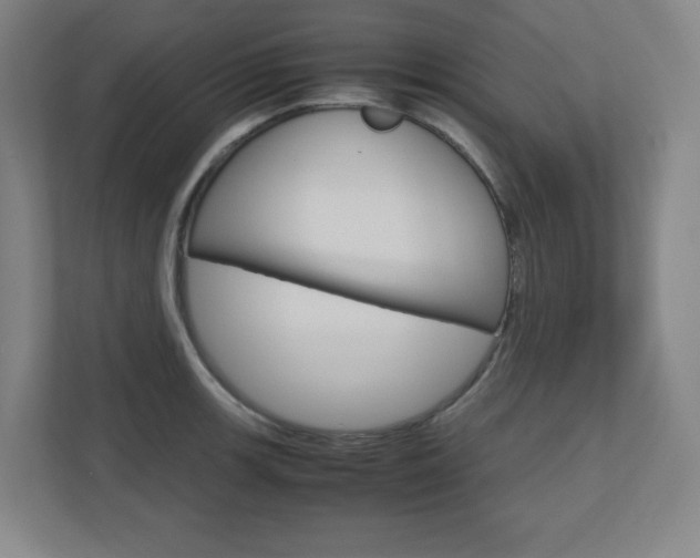 X0000110911139200906181001