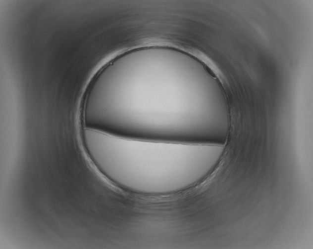 X0000110911142200906181001