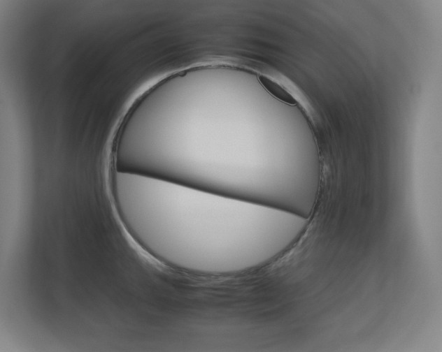 X0000110911143200906181001
